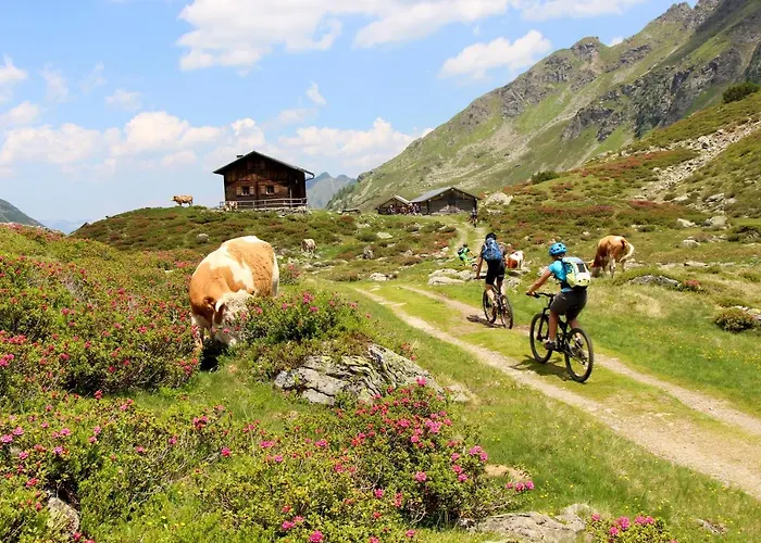 Rohrmooser Schloessl בית הארחה